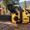 Ланцюгова пила DeWalt на акумуляторі: переваги та обмеження
